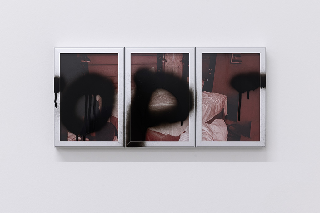 8. Exhibition View Group Show « All my loved ones like to fight; view on Mahalia Taje Giotto, Existential Boner, 2023 » at CALM – Centre d’Art La Meute, Lausanne, 2023 / Photo: Théo Dufloo / Courtesy: the artists and CALM – Centre d’Art La Meute
