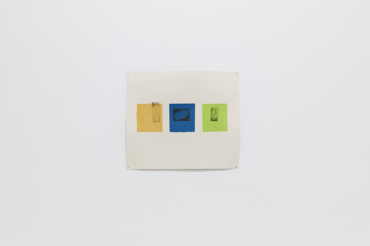 (س) sarv va parandeh, 2026. Gravure sur film & chine collé. 54 x 49 cm.